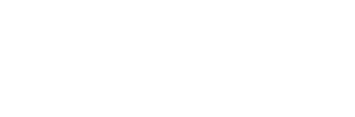 Logo Naleen Foto – C'est promis